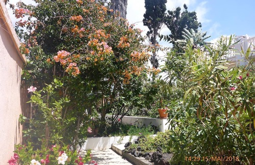 Tazacorte House | Exotic oasis of peace and relaxation in the palm garden with pool