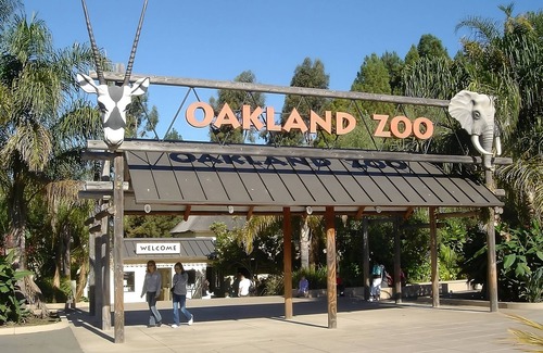 San Ramon Resort | Experience a Relaxed Getaway! Pool, Free Parking, Minutes to Oakland Zoo!