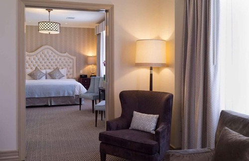 Downtown Austin Hotel | Experience Soothing Moments & Luxury! Indoor Swimming Pool, Pets are Welcome!