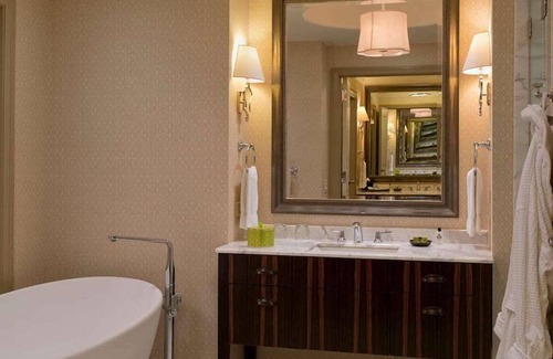Downtown Austin Hotel | Experience Soothing Moments & Luxury! Indoor Swimming Pool, Pets are Welcome!