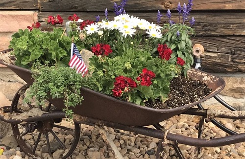 Allenspark Cabin | Experience the fall colors and wildlife, hiking, relaxing, pet friendly