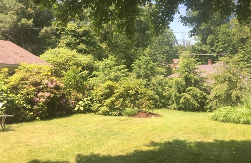 Lakeside House | Experience Tranquility at Dunedin Cottage:The Perfect Retreat in Harbor Country!