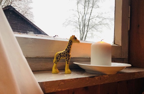 Potzwenden Cabin | Explorer Hut Harz Göttingen