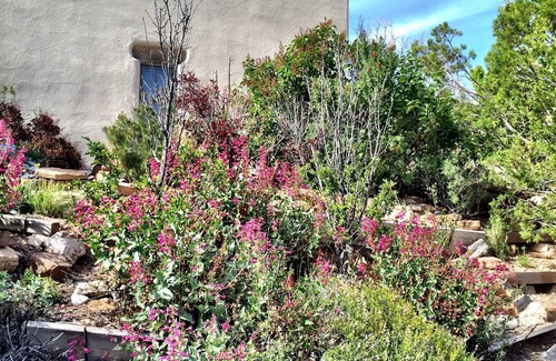 Tesuque House | Exquisite Panoramic Views From This Elegant, Modern Ridge-top Adobe Casita