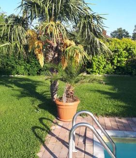 Balatonszepezd Apartment | Fülöp Villa Apartmanház