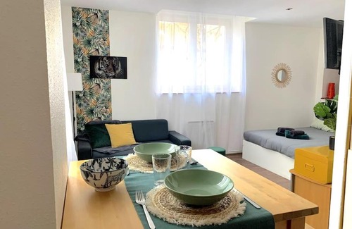 Mulhouse Apartment | F1 tout équipé proche Tram - Jungle