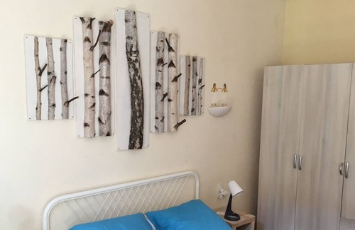 Belfort Condo | F3 "Tramway, birches, dodo"