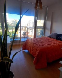 Constitucion Apartment | Fabuloso dpto. en San Telmo