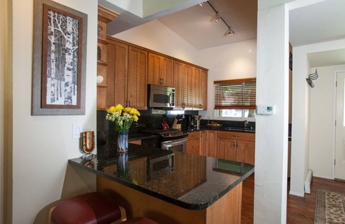 Snowmass Village Condo | FALL COLORS ARE COMING! Charming 2BR/1Bth on the River-Close to Aspen/Snowmass