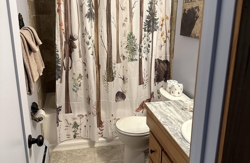 Estes Park Ski Chalet | Fall River Song-Studio