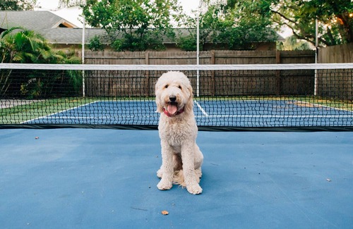 Riverside Heights House | Fall Special! Pets & Pickleball! Private Pickleball court! Pets Welcome