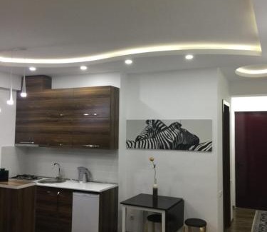 Chugureti Apartment | Family Apartment