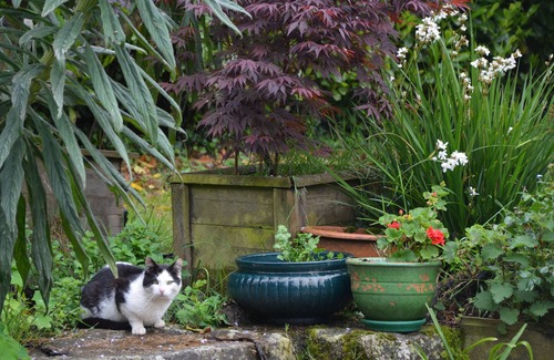 Plourin House | Family country house 8 km from the beach