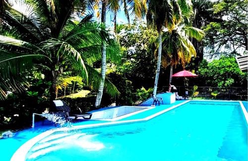 Honda Hotel | family home