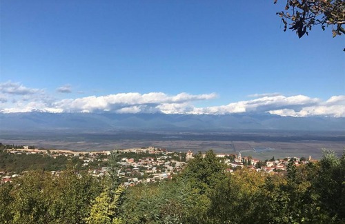 Sighnaghi House | Family Hotel In Nukriani , 2km from Sighnaghi