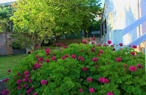 Figarella House | Family house with garden 200m from the beach