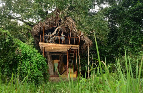 Dambulla Cabin | Family Tree House in the Jungle Close to Sigiriya
