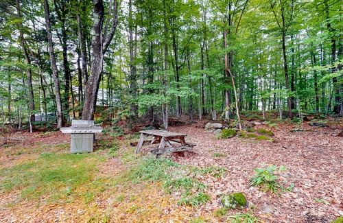 Wayne Cabin | Fantastic retreat close to lake with nearby boat access & private beach - dog OK