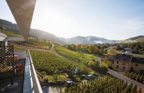 Senheim Apartment | Fantastic view of the Moselle valley, Moselle vacation at the Stefanie Vornhecke winery
