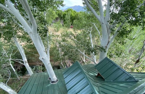 Nephi House | Fantasy Treehouse and Resortn