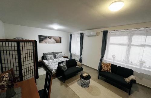 Libice nad Cidlinou Apartment | Fara No71 apart 2