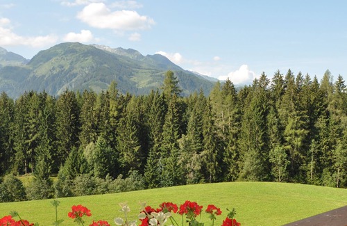 Mittersill Apartment | Farm holidays Selbstversorgerhaus 14 people