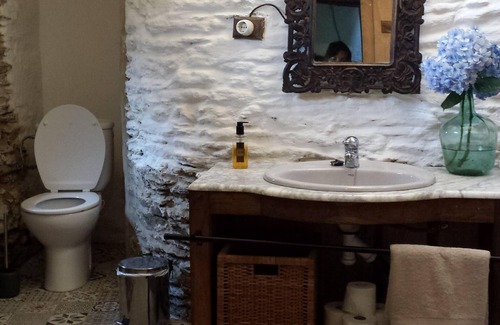 Manon Other | Farm Labrada - Accommodation between horses