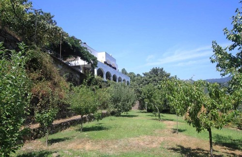 Oliveira do Douro House | FARM OF THE OLD BRIDGE OF THE CABRUM