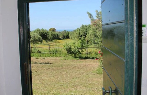 Cerveteri House | Farmhouse surrounded by olive trees a few steps from the center of Cerveteri