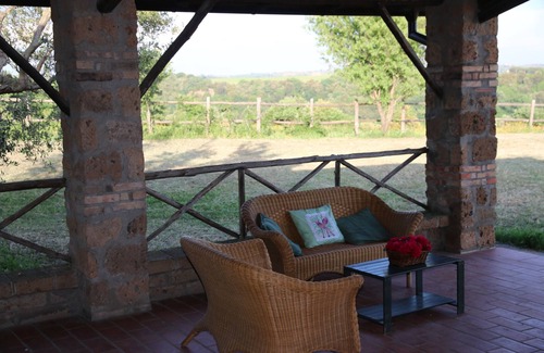 Cerveteri House | Farmhouse surrounded by olive trees a few steps from the center of Cerveteri