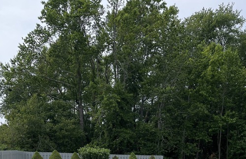 Green Creek Other | Farmhouse, close to all Wildwood and Cape May Boardwalks. unlimited parking.