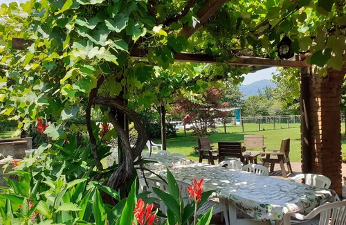 Mologno Other | Farmhouse with Farm in the hills of Barga: Casa Chioi
