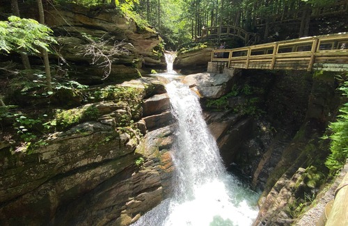 Bretton Woods House | FC20 Comfortable Forest Cottage home - AC, great for kids, lots of yard space! Walk to the slopes!