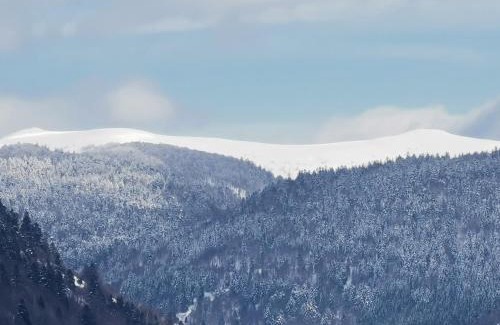 La Bresse Ski Chalet | Fenêtre sur les crêtes Vosgiennes