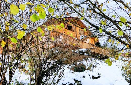 La Bresse Ski Chalet | Fenêtre sur les crêtes Vosgiennes