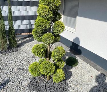 Neustadt-Stadtmitte House | Ferienhaus Heil