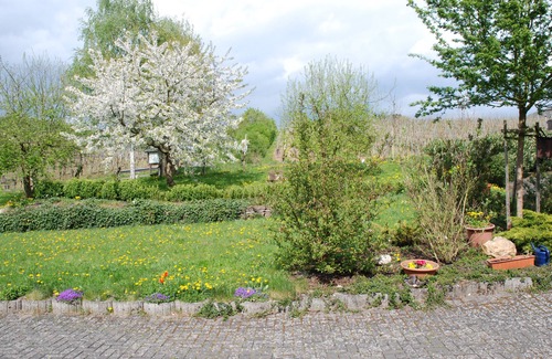 Nehren Apartment | Ferien-Weingut Römerhof -Upper floor