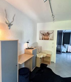 Vielbrunn Apartment | Ferienapartment Elegance