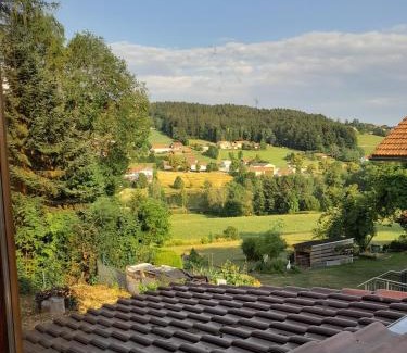 Neuschoenau House | Ferienhäuser zum Badeweiher
