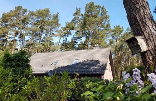 Lubmin House | Ferienhaus am Dünenwald - DH