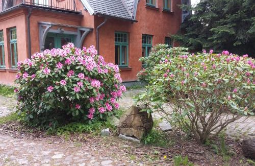 Graal Mueritz House | Ferienhaus am Wasserturm für 6 Erwachsene und 9 Kinder