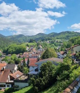 Buehlertal House | Ferienhaus Bühlertal mit 3 Fewos