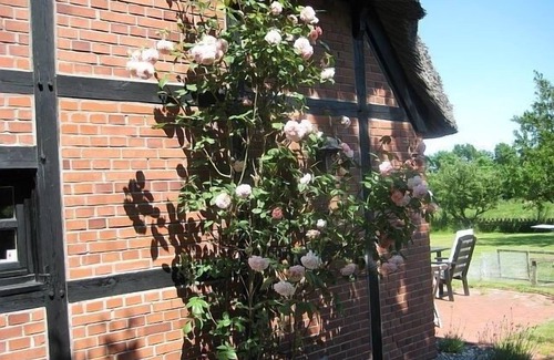 Mohrkirch House | Ferienhaus für 4 Gäste mit 70m² in Mohrkirch