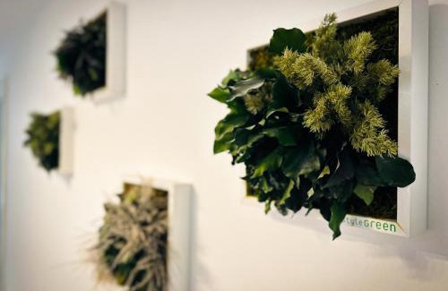 Wachwitz Apartment | Ferienhaus Wachwitzgrund