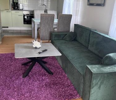 Rinteln House | Ferienhaus Weserblick, Haus Forelle