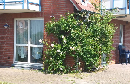 Neue Tiefe Apartment | Ferienwohnung/app. für 4 Gäste mit 60m² in Fehmarn OT Neue Tiefe