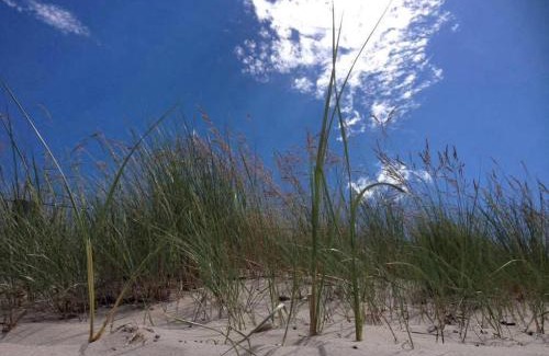 Wolgast Apartment | Ferienwohnung ab sofort