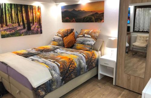 Monchevahlberg Apartment | Ferienwohnung Apartment Dettum mit eigenem Bad, Kochnische und Wintergarten