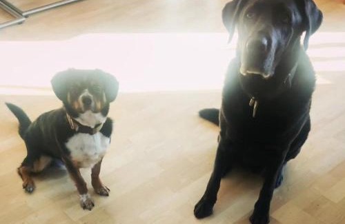 Neuenhagen bei Berlin Apartment | Ferienwohnung, Apartment, Pension - Berlin Neuenhagen