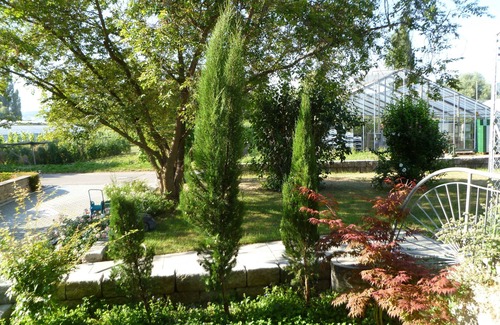 Reichenau Apartment | Ferienwohnung/app. für 4 Gäste mit 110m² in Reichenau
